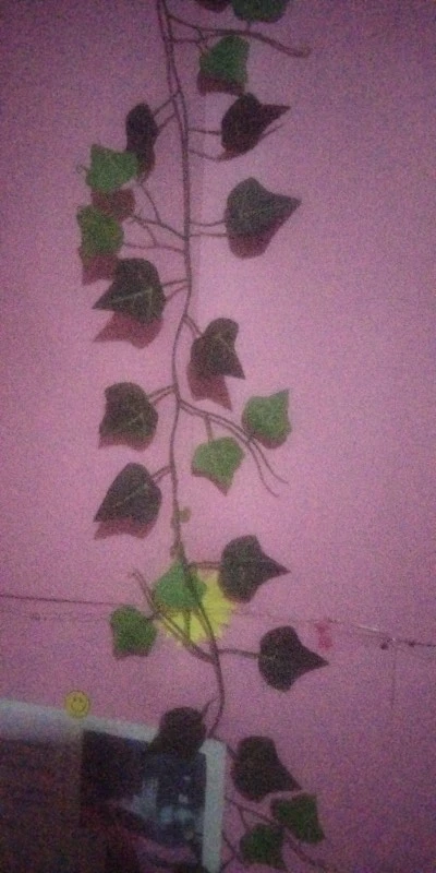 Artificial Ivy Leaf Garland - 2.4M Silk Vine for Home Decor photo review