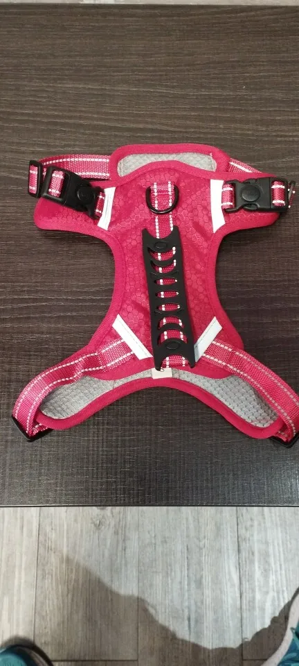 Reflective Adventure Harness: No-Pull, Adjustable Vest for Dogs of All Sizes photo review