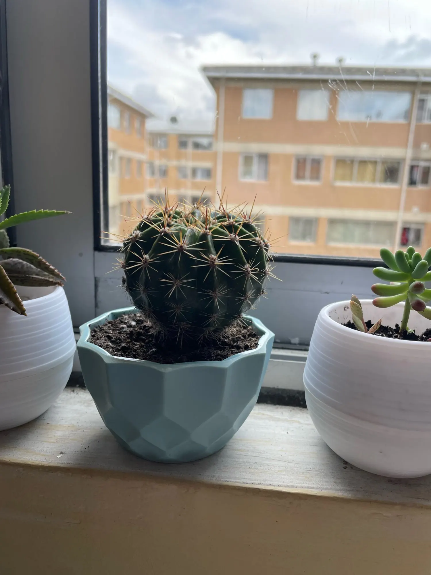 Mini Pots de fleurs ronds colorés en plastique, plantes succulentes, pour jardin, maison, bureau, pour l'intérieur photo review