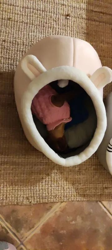 Cat Toys | Mouse Shape toys | Foldable Cat Toys । Cat & Dog Toys | ATOZBY photo review