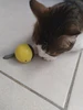 Изображение товара 5