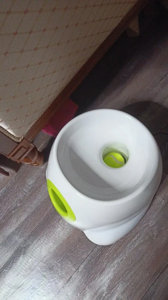 Automatic Tennis Ball Throwing Machine For Dog