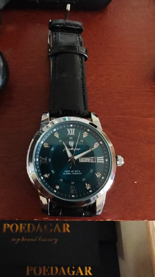 POEDAGAR Luxury Man Wristwatch photo review