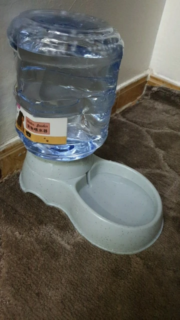 Large Capacity Pet Feeder Bowls Small Dog Food Bowl Automatic Water Dispenser photo review