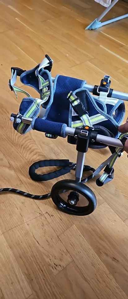 2-Wheel Dog Wheelchair for Small Dogs - Hind Leg Support for Disabled & Paralyzed