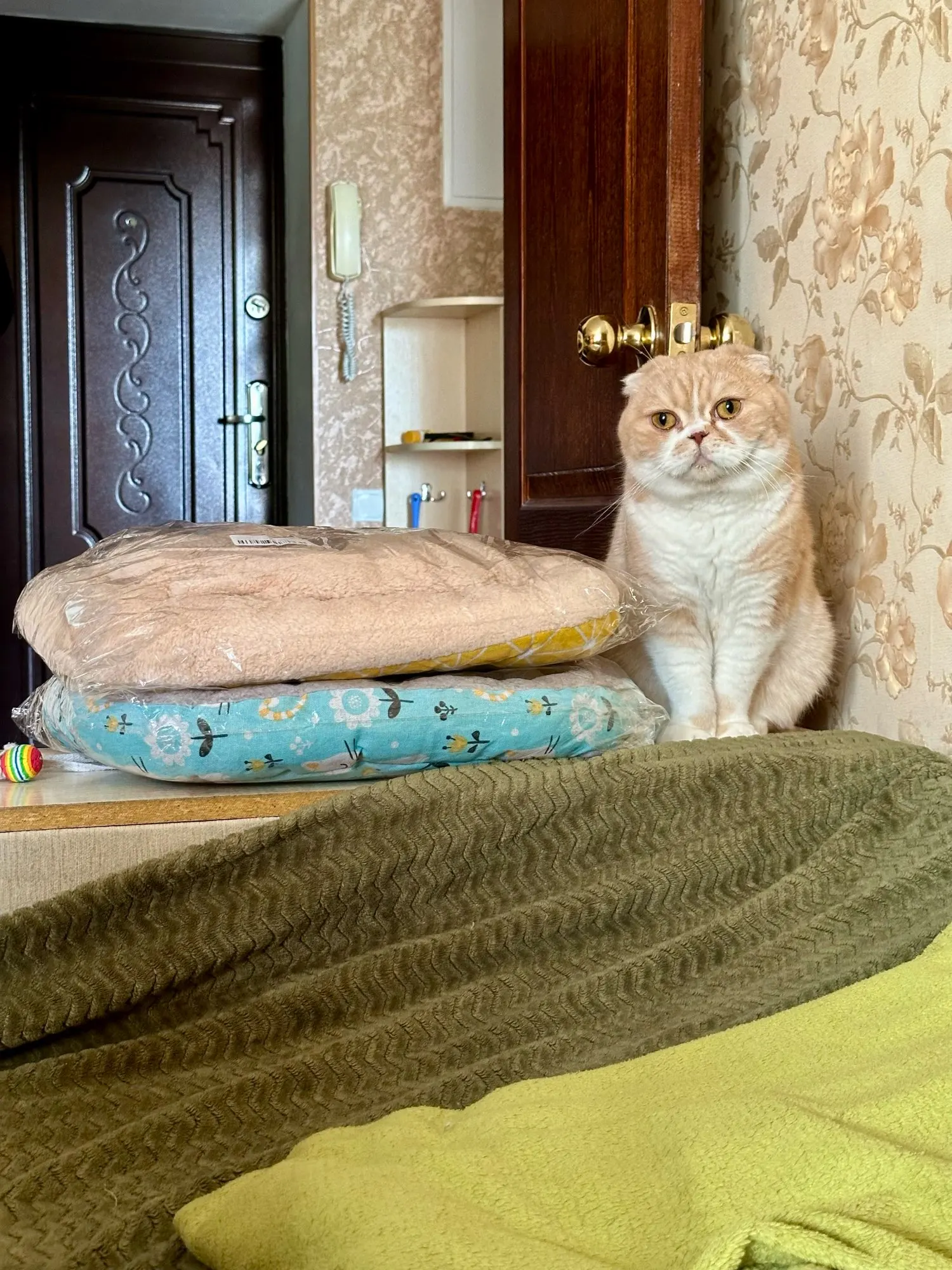 Lamb Wool Cozy Pet Haven: Winter Comfort for Cats & Dogs photo review