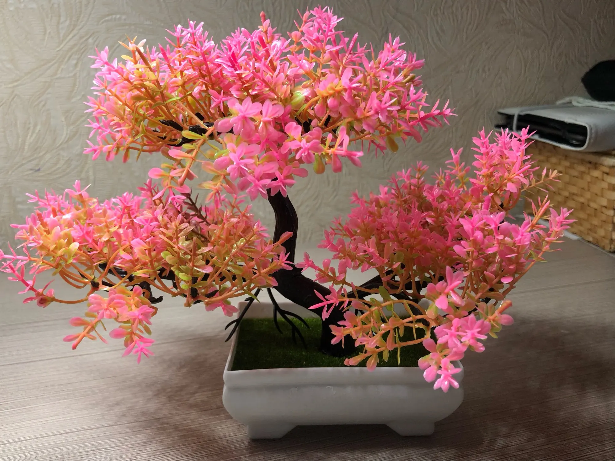 Cute Decorative Mini Bonsai photo review