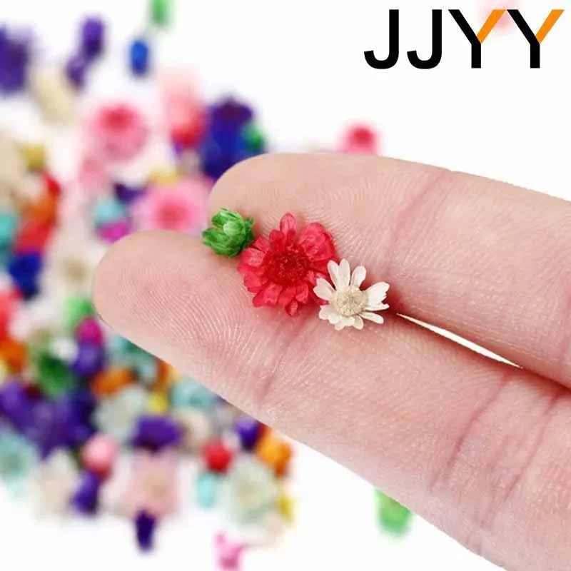 JJYY 1 confezione/100 pezzi Mini fiori secchi multicolori fai da te artigianato artistico candela in resina epossidica che fa gioielli casa festa decorativa