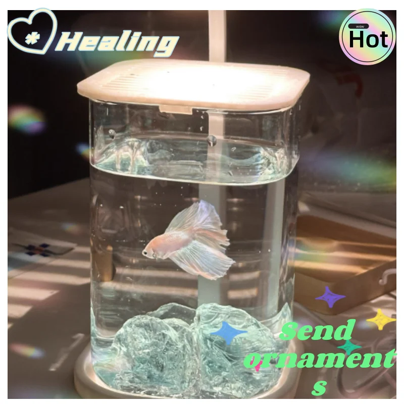 [Free Ornaments] Mini Desktop Fish Tank Creative Ornaments Office Healing Internet Celebrity Small Ecological Landscape Glass Fi