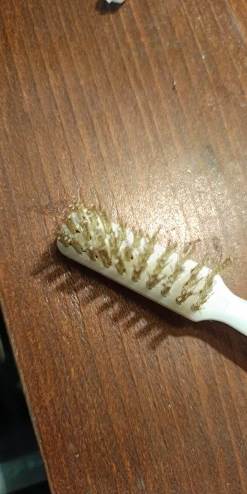 리뷰 사진