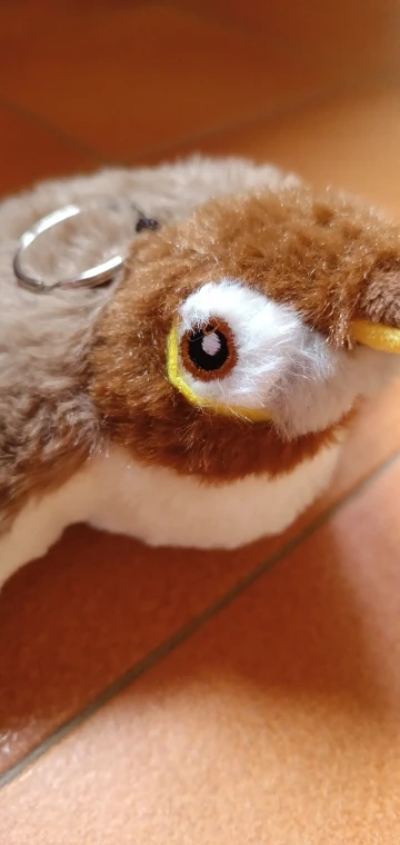 Brinquedo Interativo para Pet Bird