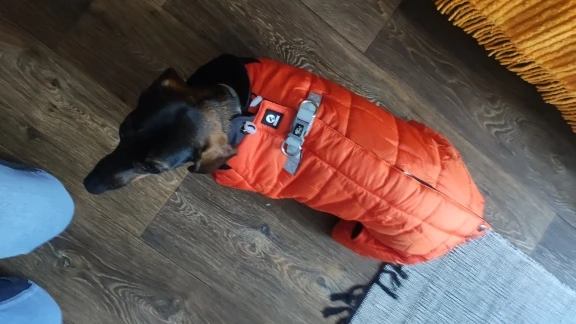 «HOOKLOOP» Orange Winter Jacket