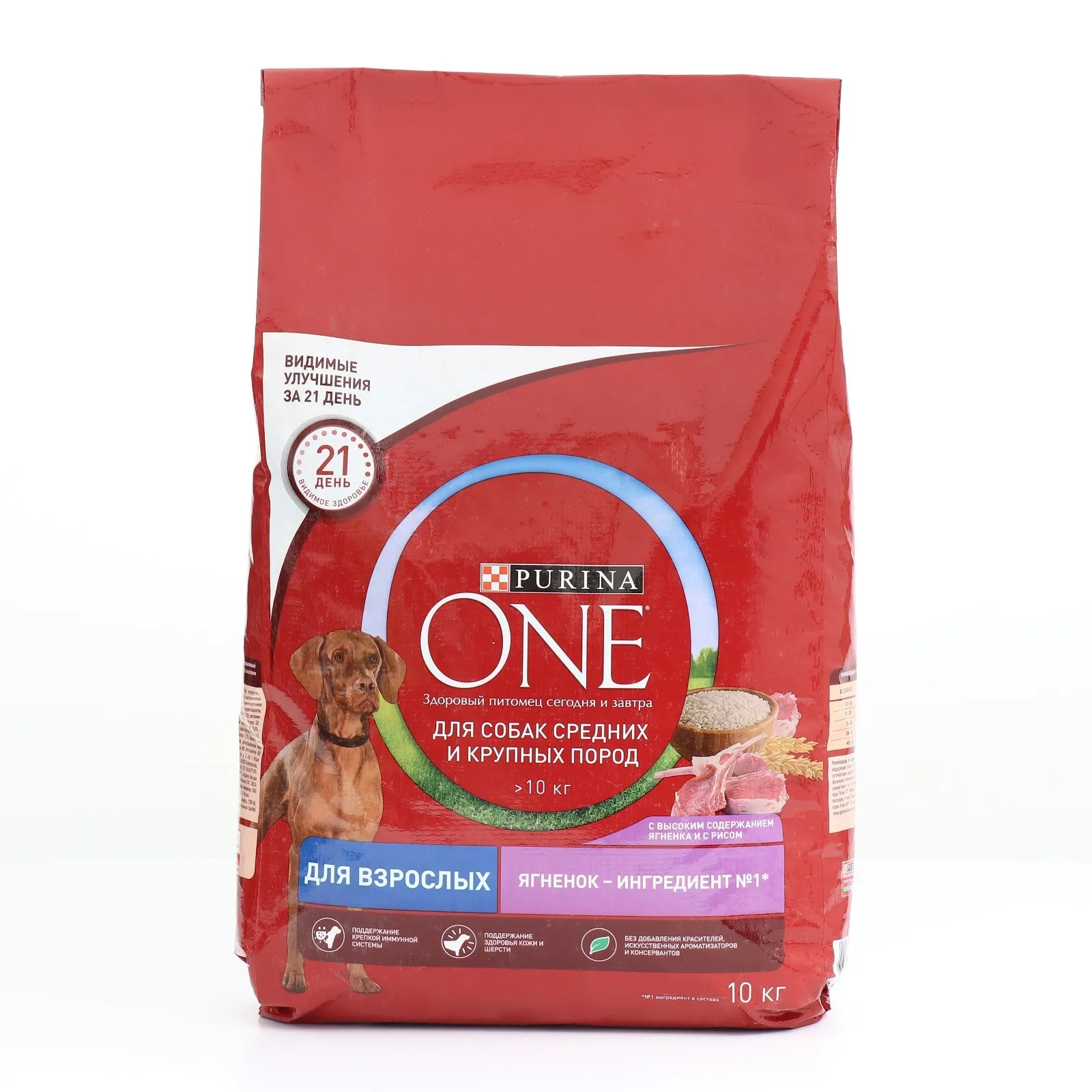 Purina-One-medium-maxi-for-adult-pit-ris-dogs-10-kg.jpg
