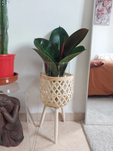Porte Plantes Intérieur en Bois photo review