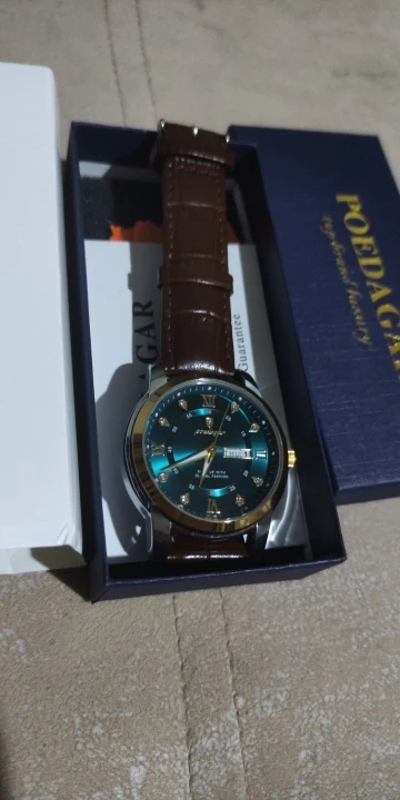 POEDAGAR Luxury Man Wristwatch photo review