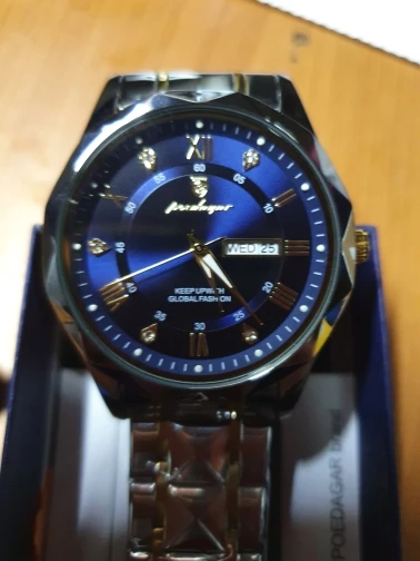 POEDAGAR Top Luxury Men Quartz Watch Waterproof Luminous Stainless Steel photo review