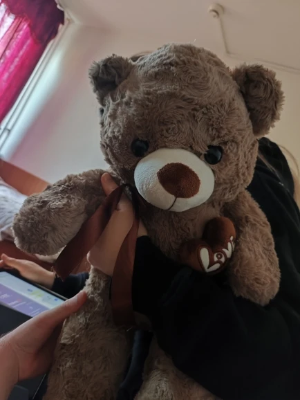 Teddy Bear Plush Toy photo review