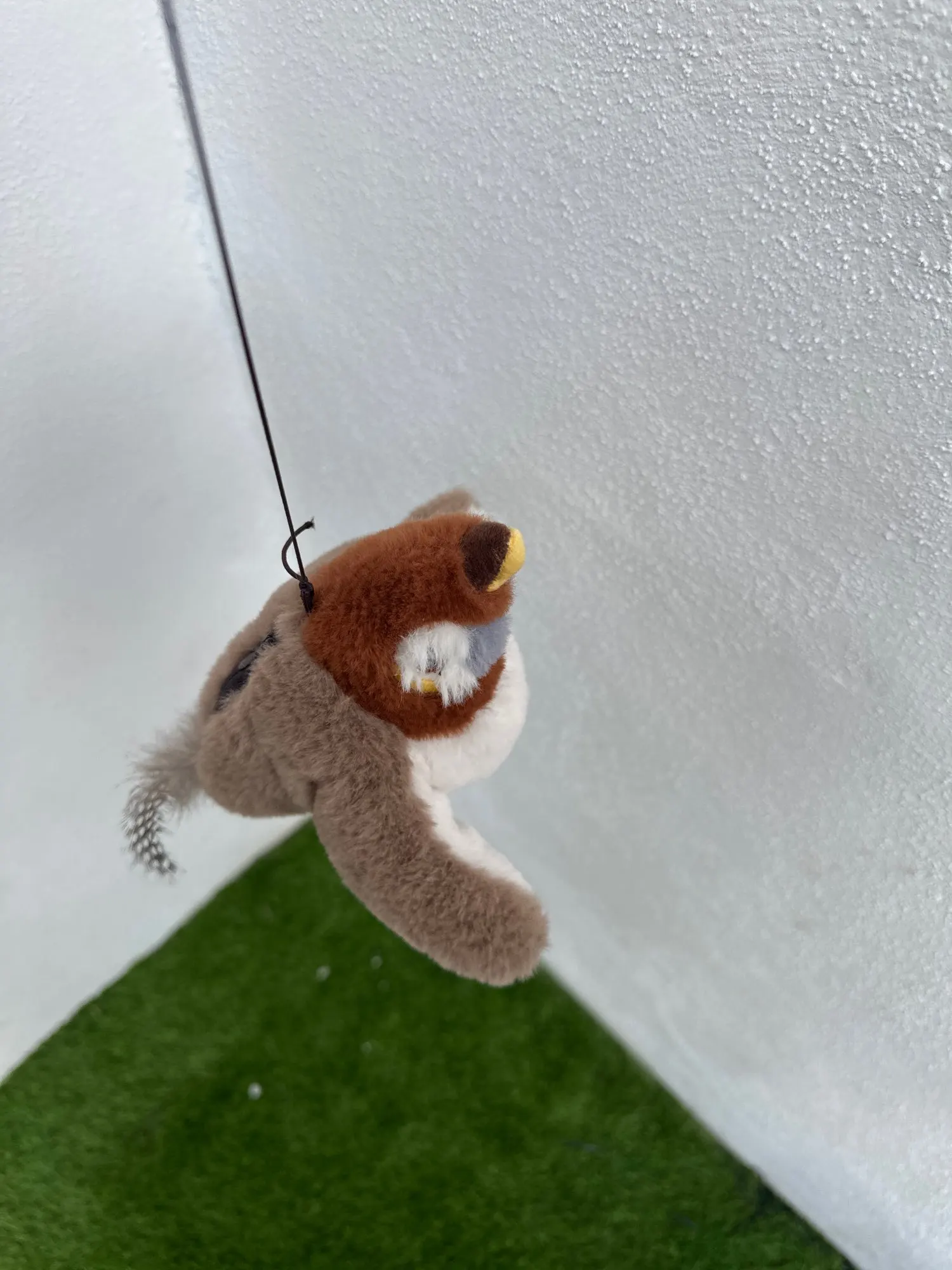Catnip Squeaky Bird Plush (No Flying) photo review
