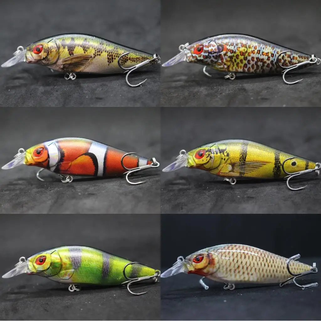 wLure Lipless Fishing Lure 13g 6cm Inside Foil Reflection Transparent  Painting Vivid in Water Tight Wiggle Sinking L697 - AliExpress