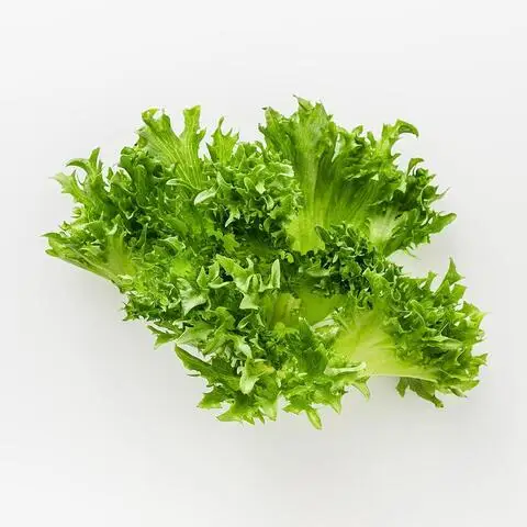 Семена Фриллис Купить В Петрозаводске