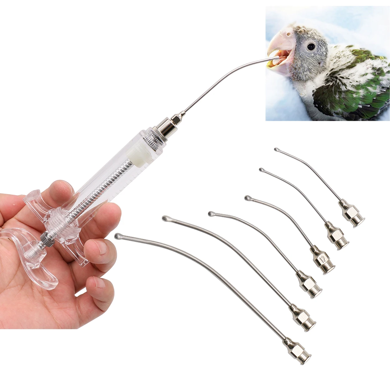 Bird Feeding Syringe Bird Oral Gavage Needle Feeding Rearing Gavage Crop Needle Parrot Pigeon Bird Poultry Feeding Injection Fittings 10ml/20ml Birds Syringes