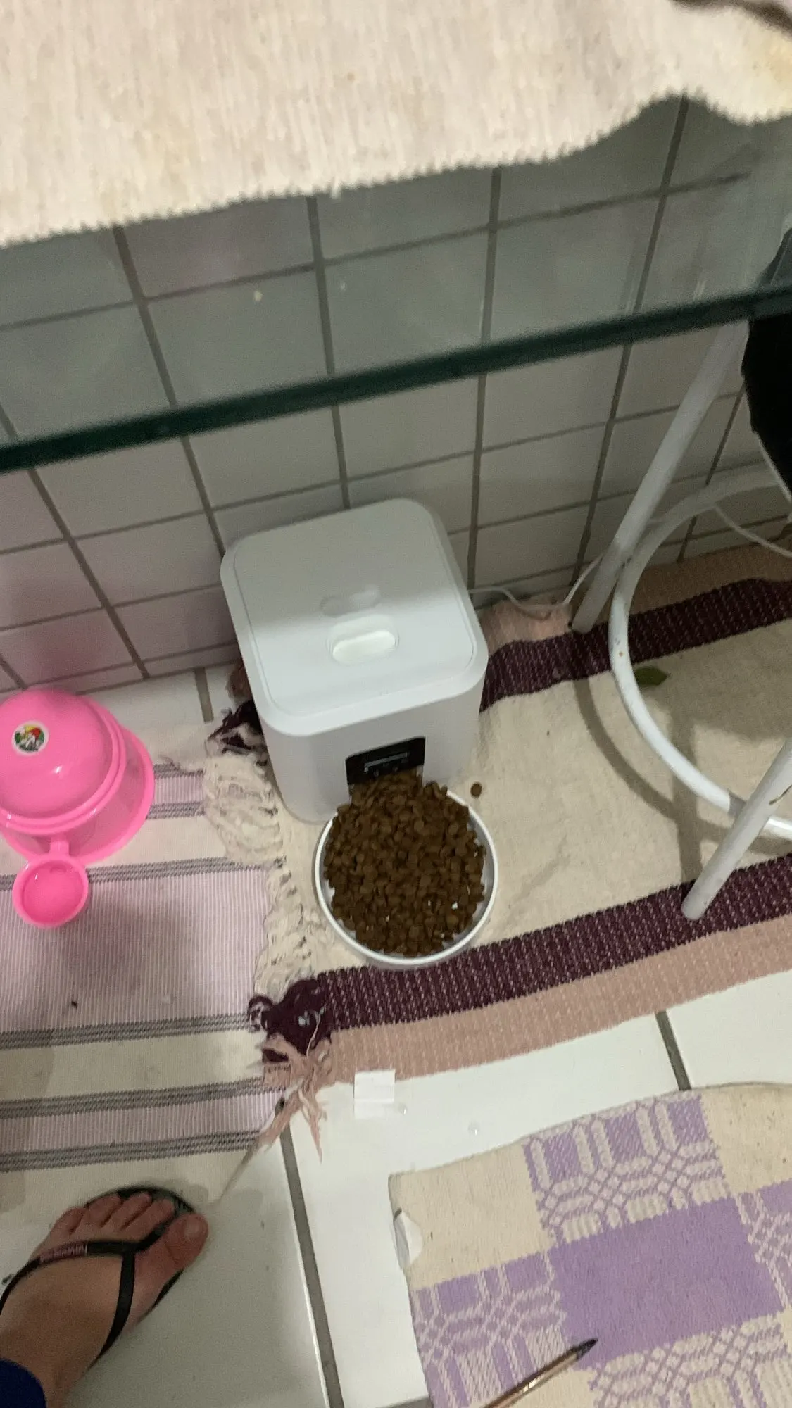 Smart Pet Feeder Automatic Cat Feeder Dog Slow Food Machine photo review