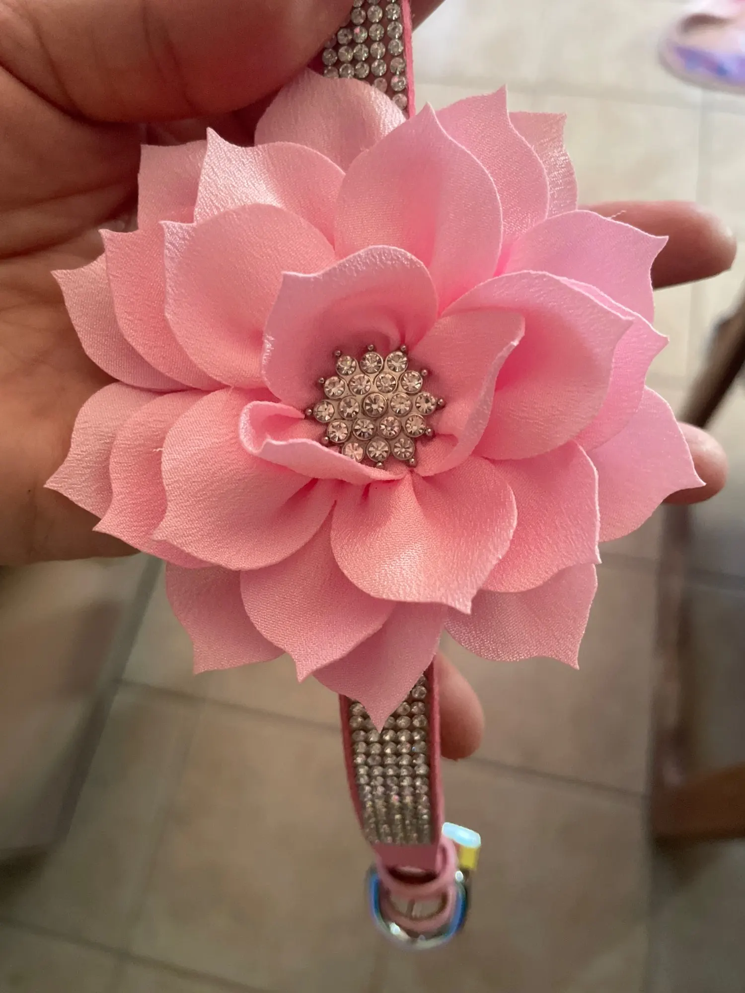 Sparkle Paws, Rhinestone Dog Collar with Floral Accent for Stylish Pets photo review