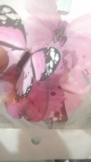 Luminous 3D Butterfly Wall Sticker photo review