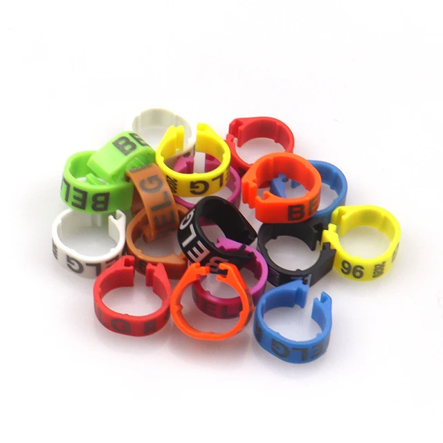 Silicone Personalized Rings 2024 | www.burtforest.com