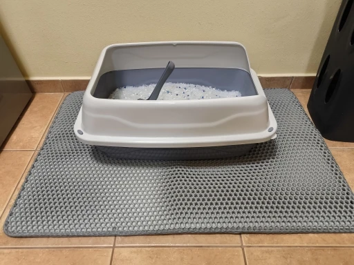 Cat Litter Mat Double Layer Waterproof Urine Proof Trapping Mat Easy to Clean Non-Slip Toilet Pad  Cat Scratch Pad Large Foot Pa photo review