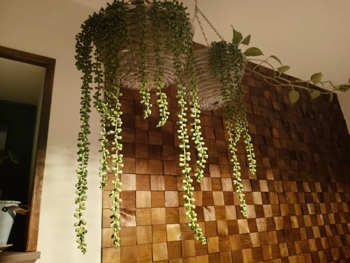 Artificial Succulent Vine for Wall, Wedding & Christmas Decor – 1PC photo review
