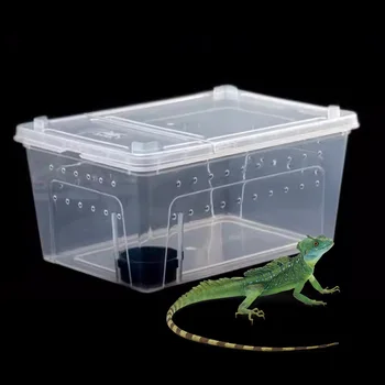 Clear Reptile Breeding Habitat 1