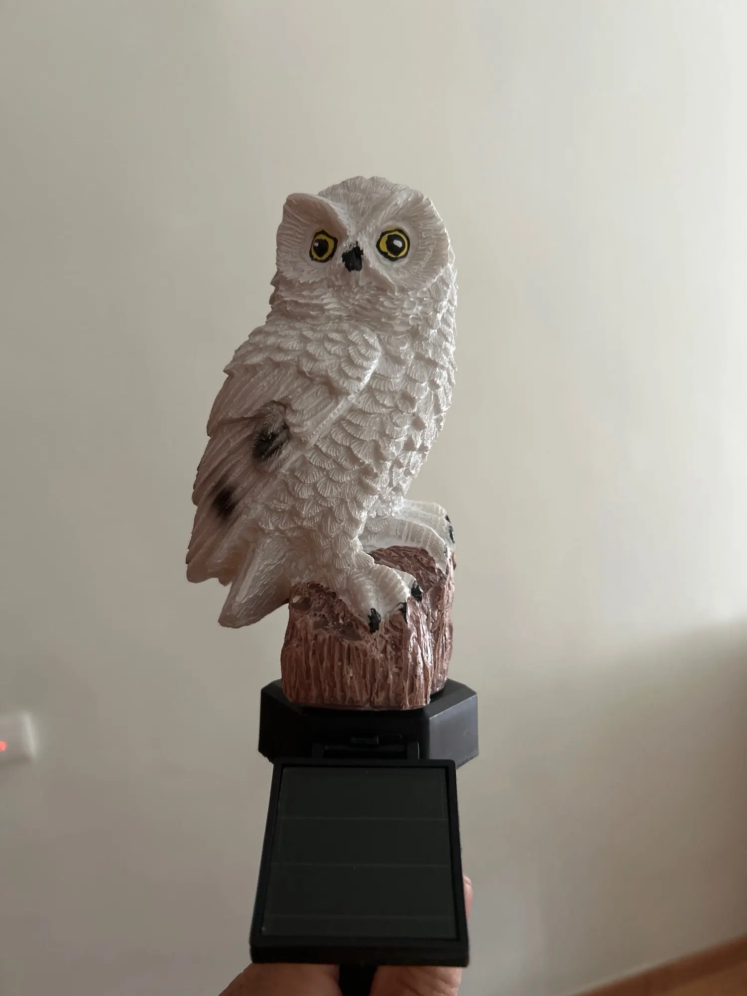 Avis de Buyer from ES