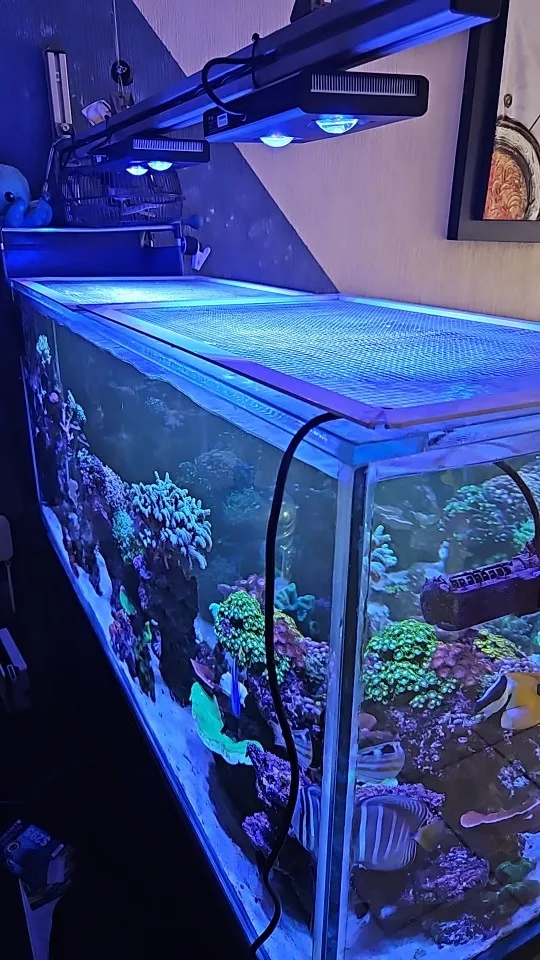 Noopsyche NP K7 Pro V3 III 140W App WiFi Full Spectrum Saltwater