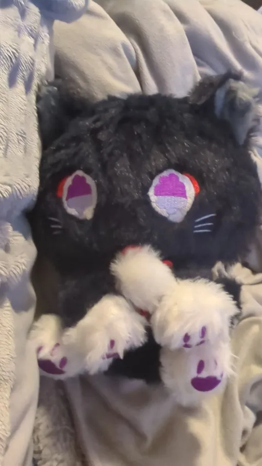 The Scarameow Plushie photo review