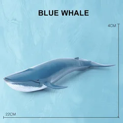 Marine Life Educational Figurine Set - Whales, Sharks, Dolphins, and Ocean Animals (Blue Whale)