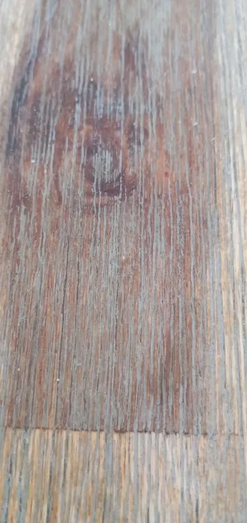 Cute Floral Nylon Baby Headband photo review