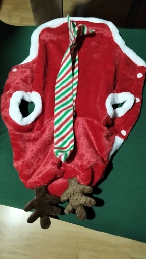 Peture® Reindeer Antlers & Santa Cloak