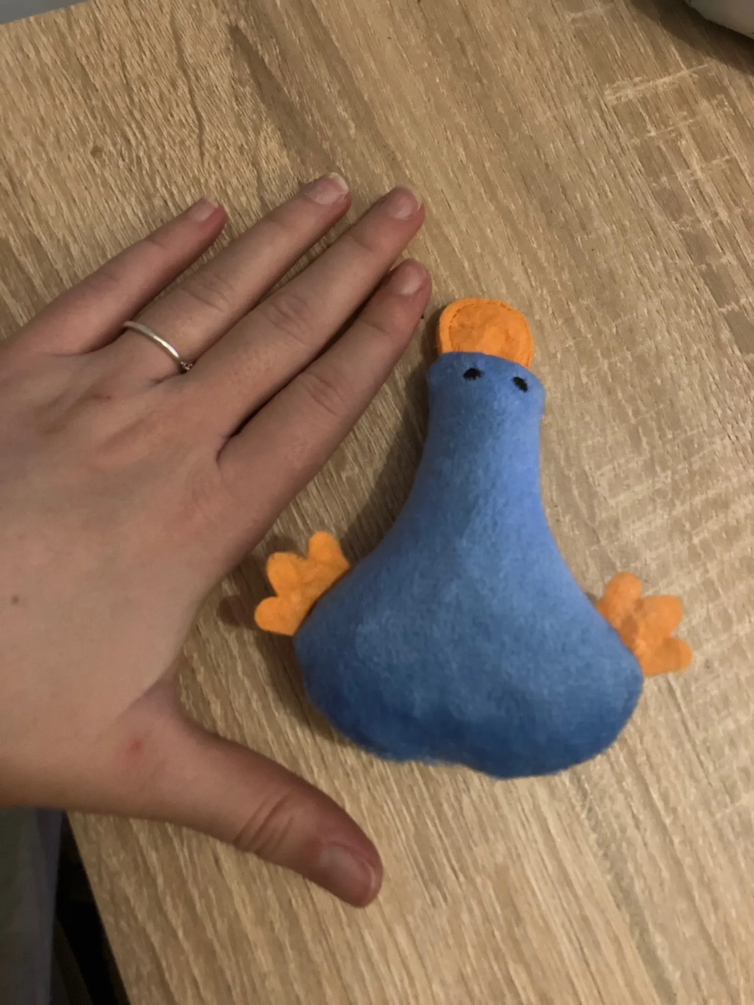 Ducky Delights: Interactive Plush Duck Cat Toy with Catnip for Fun-Filled Playtime photo review