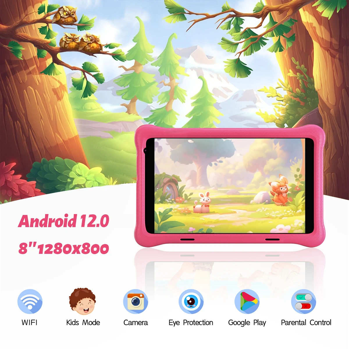 dsc-products