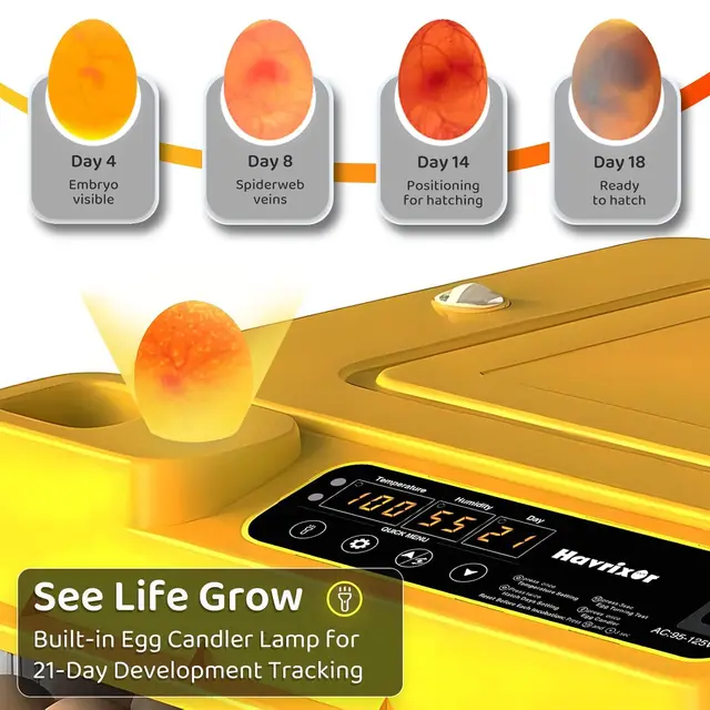 36-216 Egg Incubator for Hatching Eggs, Fully Automatic Egg Incubator with Auto Temp/Water/Turning, for Chicken Duck Goose