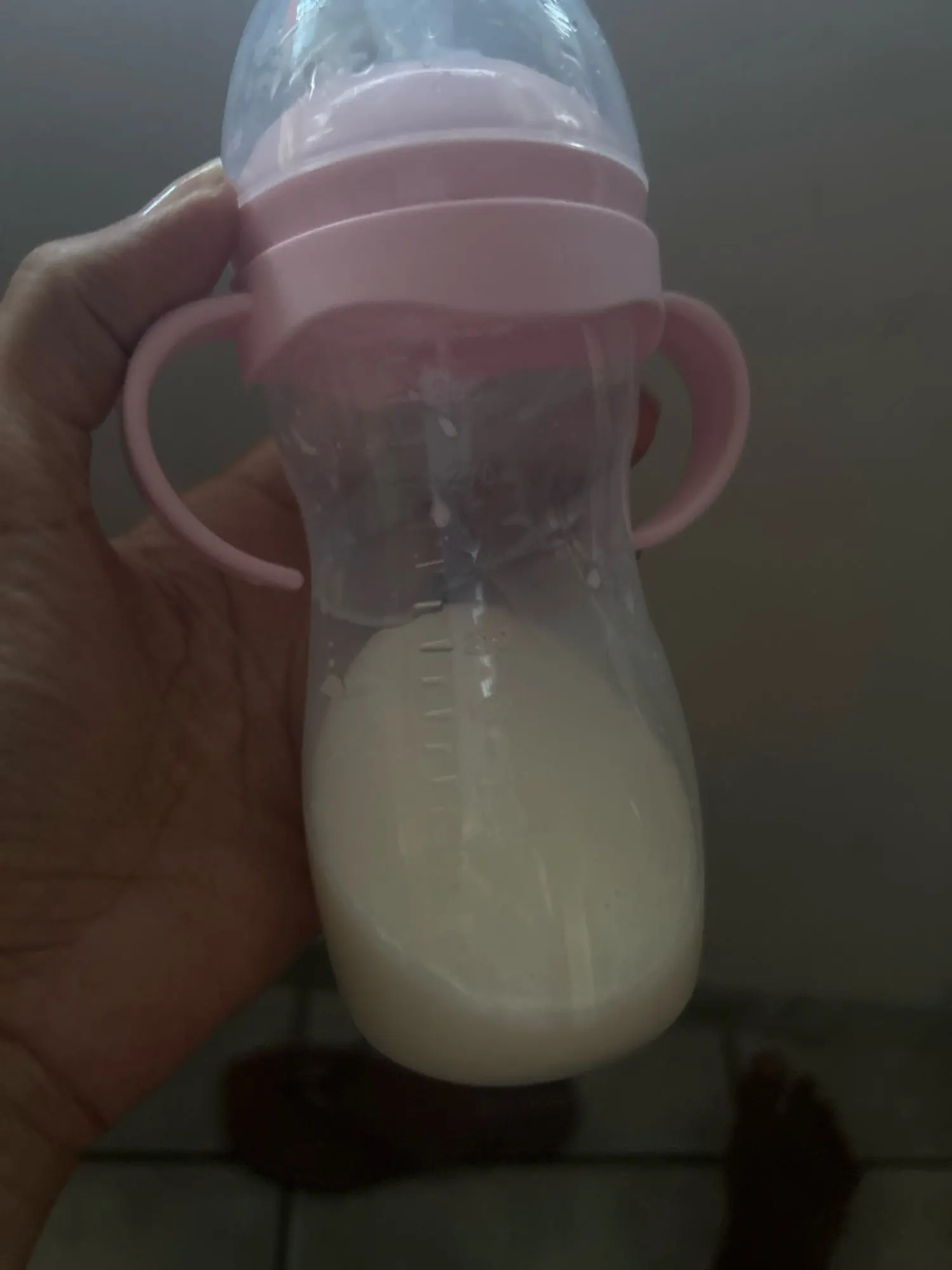 리뷰 사진