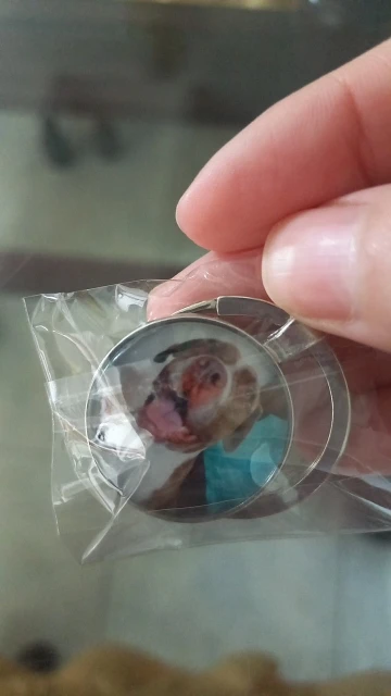 Custom Pet Photo Key Ring