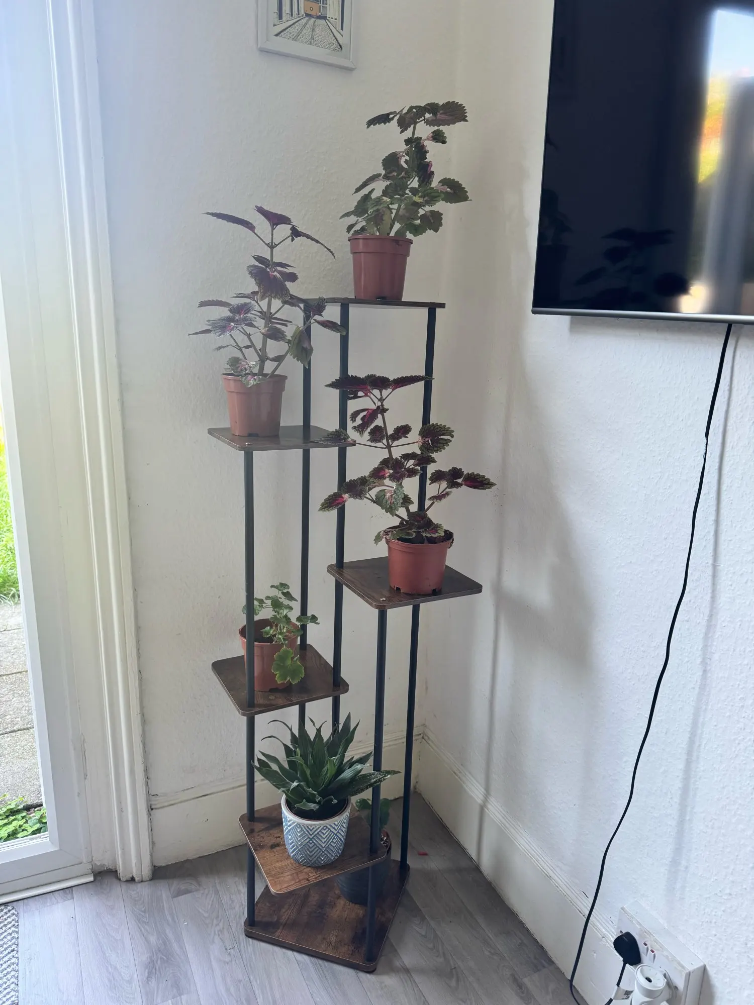 4/5/6 Tier Plant Stand Indoor Metal Plant Shelf,Indoor And Outdoor Display Racks,for Multiple Plants Small Corner Flower Stan photo review