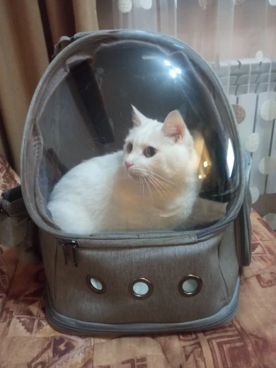 Cat Astronaut Backpack Space Capsule Bubble photo review