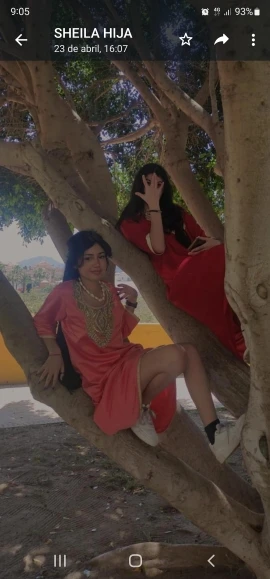 Lisix Synthetic Clip In Hair Extensions (5 Clips) photo review