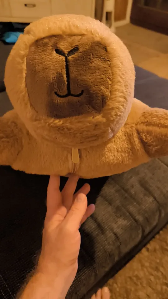 Capivara Fofeza® de Pelúcia – Estilo Almofada