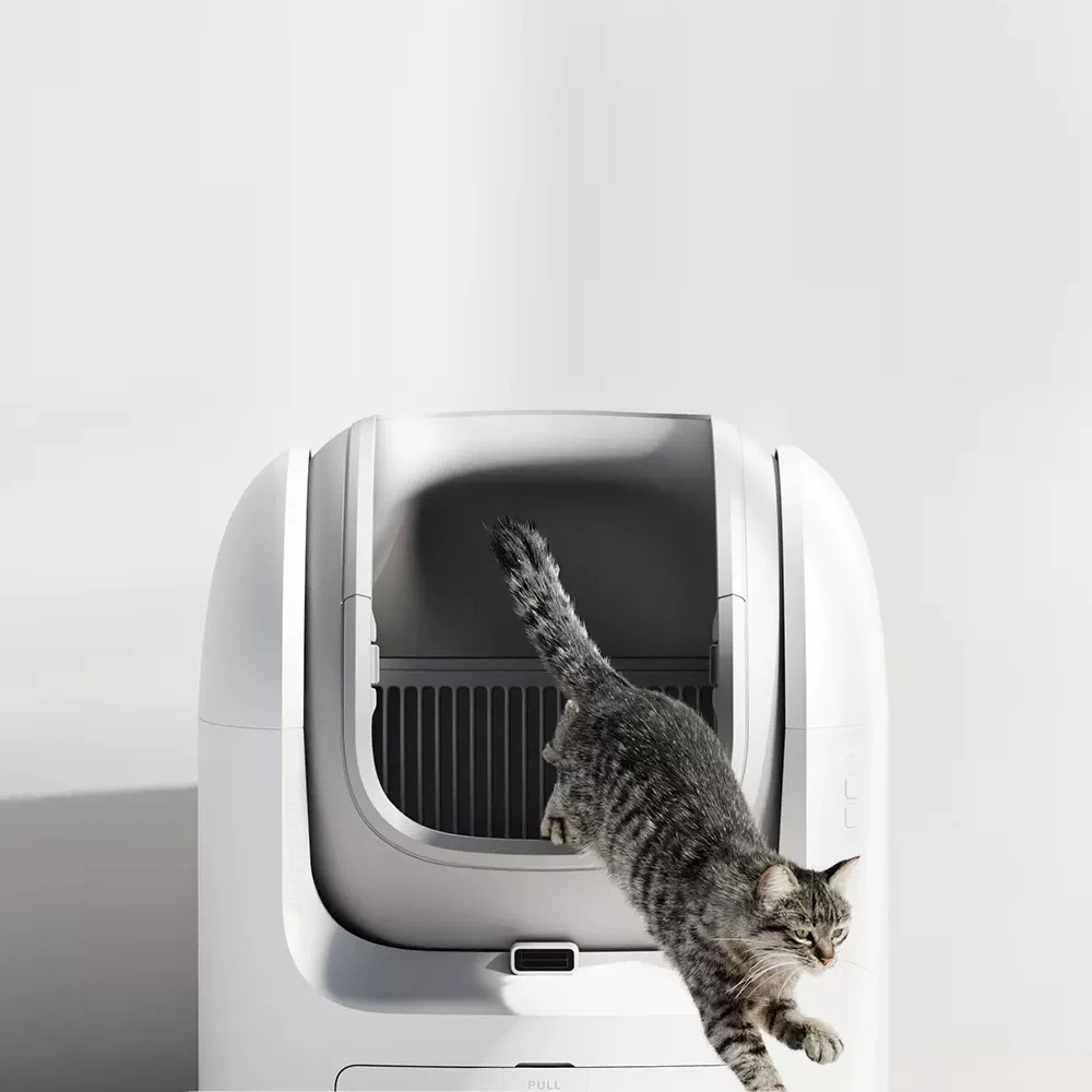 Cat Poop Best Electronic Cat Litter Box Best Self-Cleaning Litter