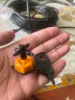 Изображение товара 1