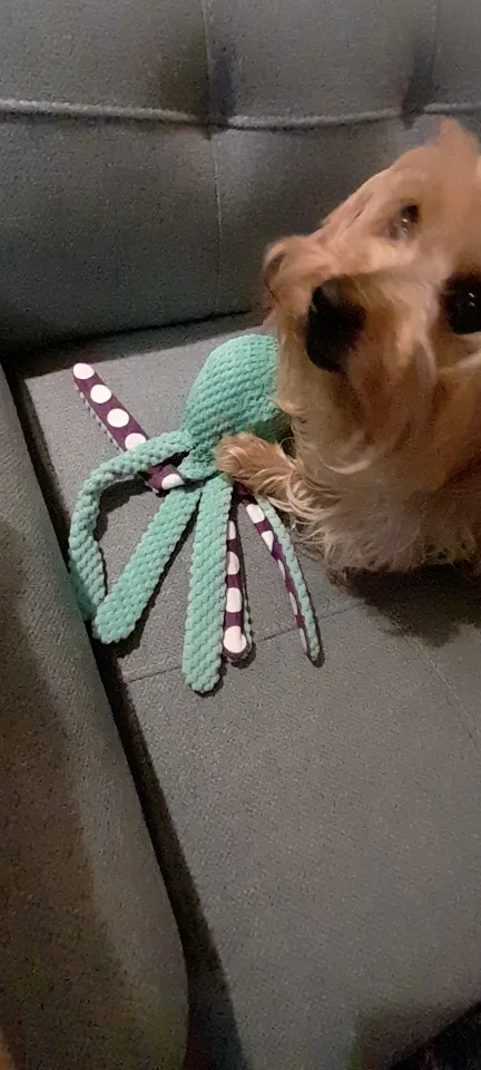 Perro mascota peluche pulpo juguete interactivo sonido anti-demolición hogar perro grande y pequeño aburrimiento compañero juguete photo review